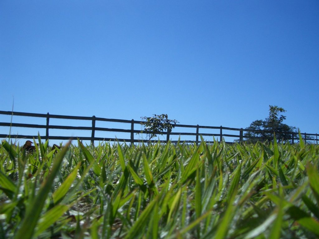 agricultural fencing